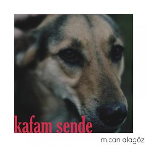 Kafam Sende