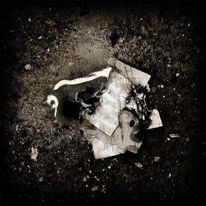 Мой мир сгнил