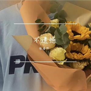 不遗憾（录音室版）