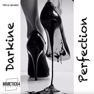 Perfection (feat. Darkine) (Mariano Cangemi Remix)