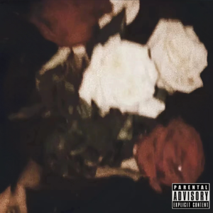 不能陪你去看星星