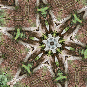 The Delta Dreamstate