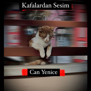 kafalardan sesim