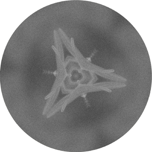 First Drive (Ki.Mi. , Kashatskikh Remix)