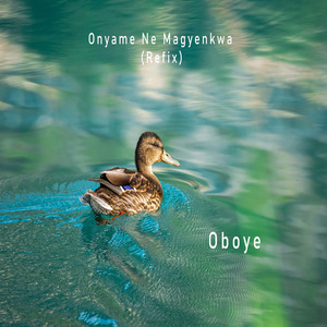 Onyame Ne Magyenkwa (Refix)