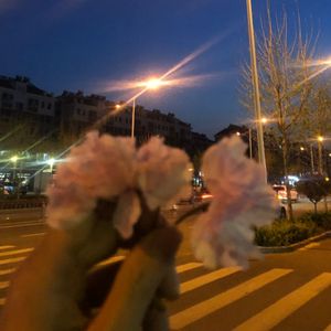 安和桥（翻唱宋东野）