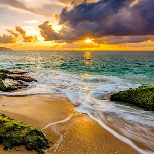 我只想慢慢地陪着你去远方