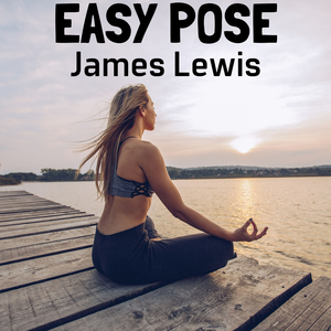 Il Buon Soldato Švejk