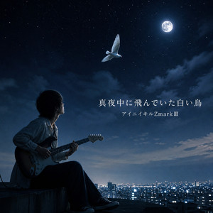 真夜中に飛んでいた白い鳥