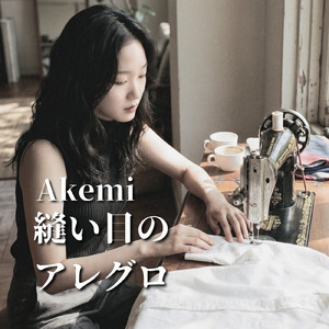 縫い目のアレグロ