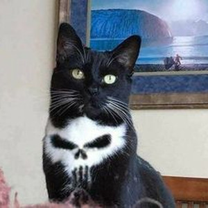 On My Mind (nightcore)