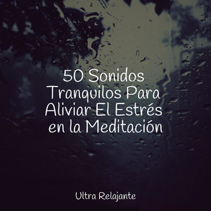 Sonidos De Serenidad