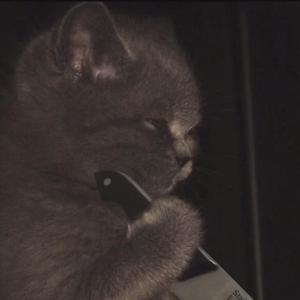 她(prod by Red killer)