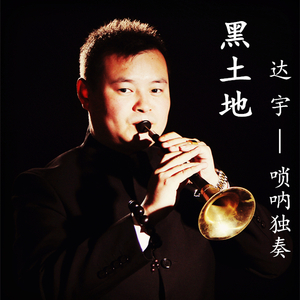 黑土地 — 达宇 唢呐演出现场版（翻自 未知）