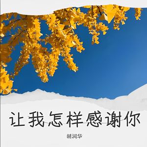 让我怎样感谢你