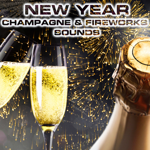 New Year Midnight Table Sound (feat. Christmas Relaxing Sounds, Christmas Blizzard Fireplace Sounds, Champagne Pouring Sounds, Weekend Mode Sounds & Outdoor Dining Sounds)
