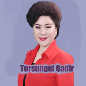 Metiz Meshrepliri 美特子