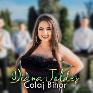Colaj Bihor