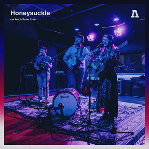 Beautiful Pain (Audiotree Live Version)
