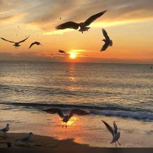 幸福了，然后呢