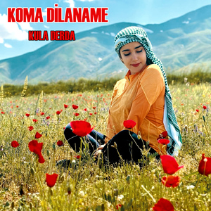 Arabada Patlamalık Grani