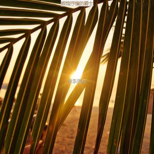 适合酒店抚慰的音乐