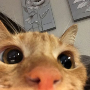 She's On Fire (sped up)