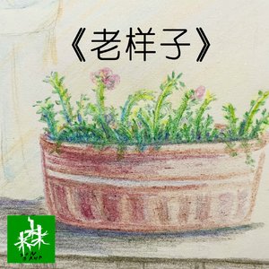 不一样的卡梅拉