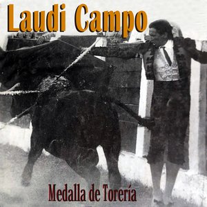Medalla De Torería