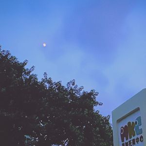 The Day After The Moon