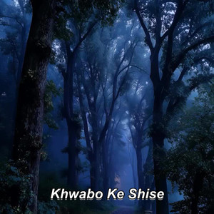 Khwabo Ke Shise