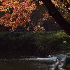 山水别相逢 (DJ版)