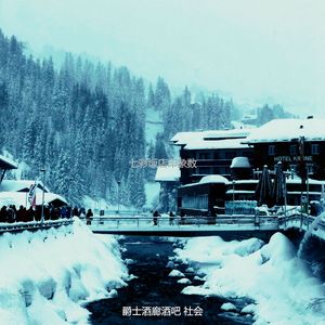 温和酒店酒吧梦想