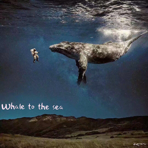 That yellow-white star（那颗黄白色的星星）