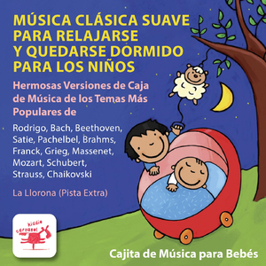 Concierto para Piano N.º 21, 2° Movimiento