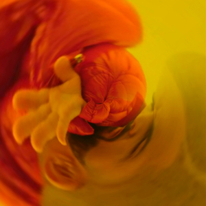 Hotline Bling (you know)