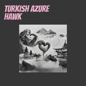 Turkish Azure Hawk