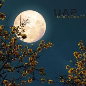 Moondance
