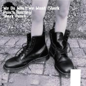 We Do What We Want (Shark Punch Bootleg)