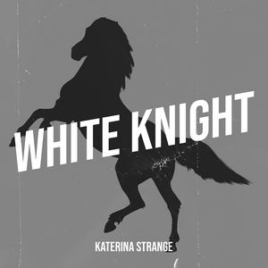 The Tarot Card Reader