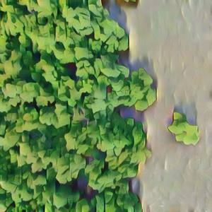 Returning Third Eyelid