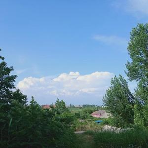 万蝶振翅古筝版