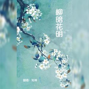 柳暗花明
