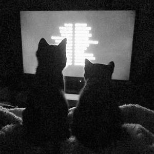 ไม่ใช่ผู้ชายที่โรแมนติก