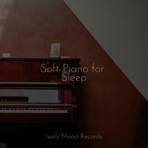 Velvet Noir Dreamscape