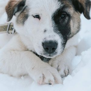 这是想对你说的(EVOMUSIC Jackwavy）