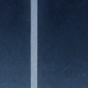 春天种下的梅花 伴奏