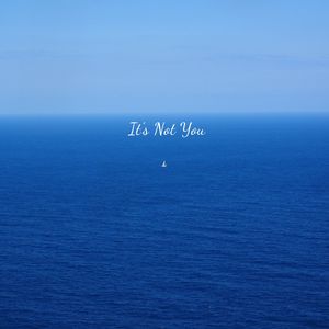 It's Not You