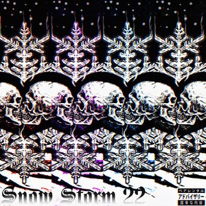 Snow Storm 22