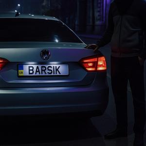 Бездомний_Barsik